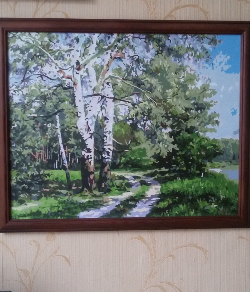  береза