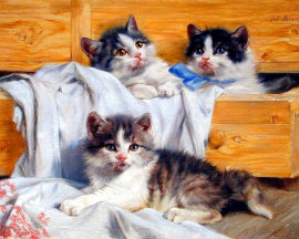 Три котенка - Три котенка