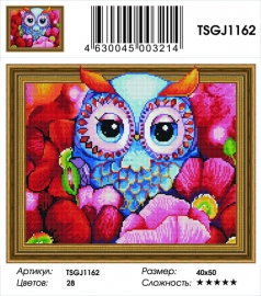 TSGJ1162 - TSGJ1162