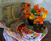 Картины по номерам 40х50: Картина по номерам на холсте и подрамнике 40х50 см