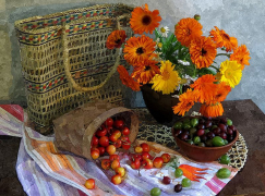 Картина по номерам на холсте и подрамнике 40х50 см