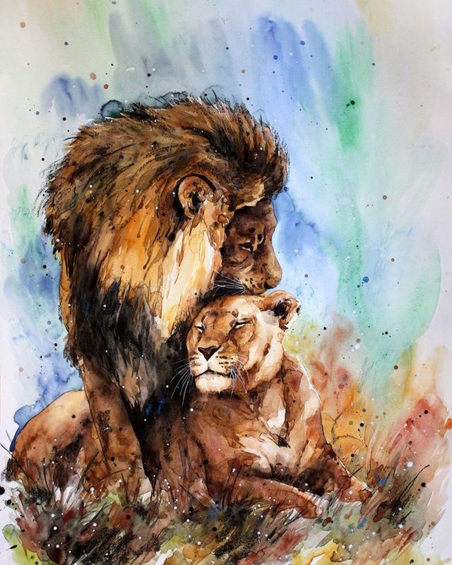 Купить картину по номерам 40х50 VA-1048 «Лев и львица» на ColorNumbers.RU