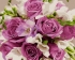 Картина по номерам на холсте и подрамнике 40х50 см - Картина по номерам на холсте и подрамнике 40х50 см