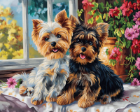 Картины по номерам 40х50: Картина по номерам на холсте и подрамнике 40х50 см