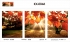 Триптихи 40x50 - Фокус - Триптихи 40x50 - Фокус
