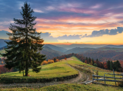 Алмазная мозаика на подрамнике 40х50