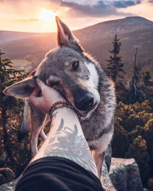 Алмазная мозаика на подрамнике 40х50 - Алмазная мозаика на подрамнике 40х50