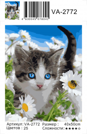 Маленький котенок - Маленький котенок