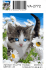 Маленький котенок - Маленький котенок