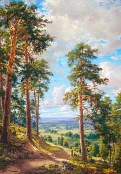 Вышивка крестиком 40х50см, Лес