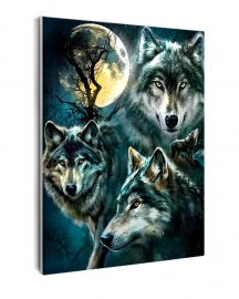 Картина по номерам на холсте и подрамнике 40х50 см - Картина по номерам на холсте и подрамнике 40х50 см