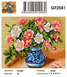 GF2581 - GF2581