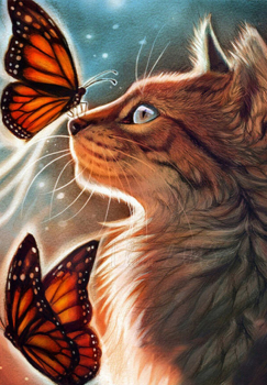 Бабочки и кот