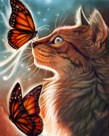 Бабочки и кот - Бабочки и кот