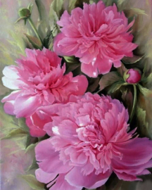 Алмазная мозаика на подрамнике 40х50 - Алмазная мозаика на подрамнике 40х50