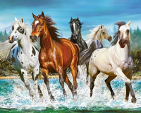 Алмазная мозаика круглыми стразами 40x50: Алмазная мозаика на подрамнике 40х50