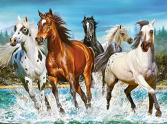 Алмазная мозаика на подрамнике 40х50