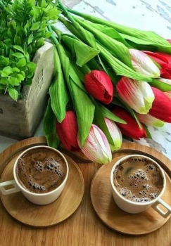 Алмазная мозаика на подрамнике 40х50