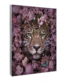 Картина по номерам на холсте и подрамнике 40х50 см - Картина по номерам на холсте и подрамнике 40х50 см