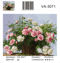 VA-3071 - VA-3071