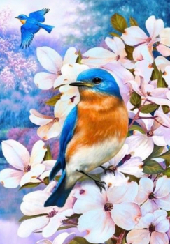 Алмазная мозаика на подрамнике 40х50