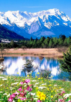 Алмазная мозаика на подрамнике 40х50