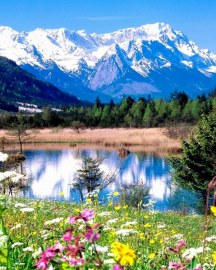 Алмазная мозаика на подрамнике 40х50 - Алмазная мозаика на подрамнике 40х50