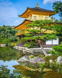 Алмазная мозаика на подрамнике 40х50 - Алмазная мозаика на подрамнике 40х50