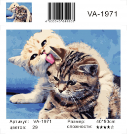 Милые котята - Милые котята