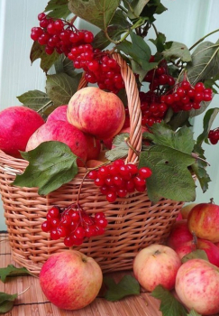 Алмазная мозаика на подрамнике 40х50