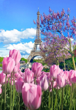 Алмазная мозаика на подрамнике 40х50