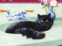 Кот в раковине