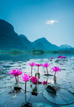 Алмазная мозаика на подрамнике 40х50