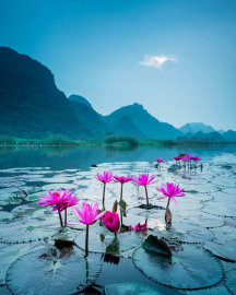 Алмазная мозаика на подрамнике 40х50 - Алмазная мозаика на подрамнике 40х50