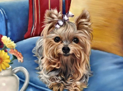 Картина по номерам на холсте и подрамнике 40х50 см