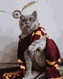 Кот Гарри Поттер - Кот Гарри Поттер