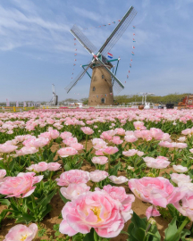 Картина по номерам на холсте и подрамнике 40х50 см - Картина по номерам на холсте и подрамнике 40х50 см