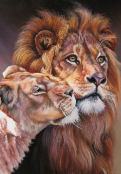 Картина по номерам на холсте и подрамнике 40х50 см