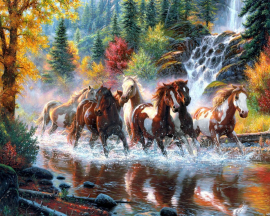 Алмазная мозаика на подрамнике 40х50 - Алмазная мозаика на подрамнике 40х50