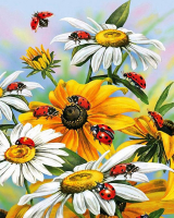 Алмазная мозаика круглыми стразами 40x50: Алмазная мозаика на подрамнике 40х50