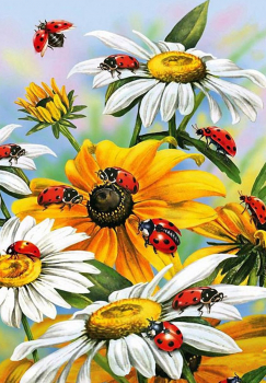 Алмазная мозаика на подрамнике 40х50