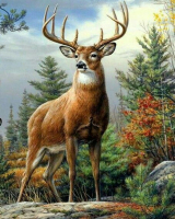 Картины по номерам 40х50: Картина по номерам на холсте и подрамнике 40х50 см