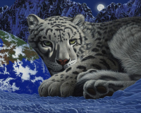 Алмазная мозаика круглыми стразами 40x50: Алмазная мозаика на подрамнике 40х50