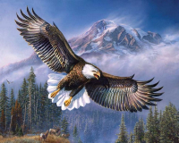 Алмазная мозаика круглыми стразами 40x50: Американский орел