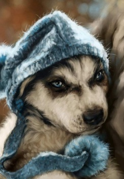 Щенок Хаски