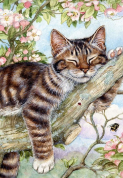 Вышивка крестиком 40х50см, Котенок