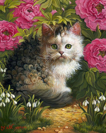 Кудрявый котенок - Кудрявый котенок