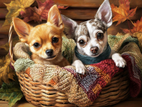 Картины по номерам 40х50: Картина по номерам на холсте и подрамнике 40х50 см