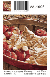 Котята и яблоки - Котята и яблоки