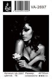 Картина по номерам на холсте и подрамнике 40х50 см - Картина по номерам на холсте и подрамнике 40х50 см